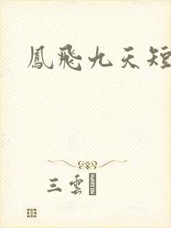 凤飞九天短剧