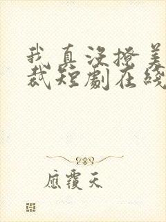 我真没撩美女总裁短剧在线免费观看