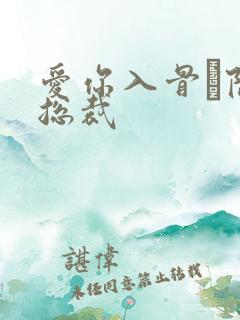 爱你入骨·隐婚总裁