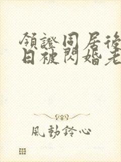 领证同居后,日日被闪婚老公宠哭小说