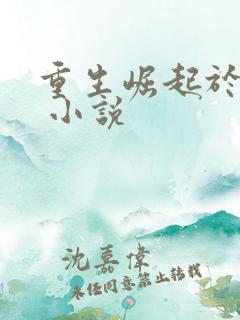 重生崛起于香江 小说