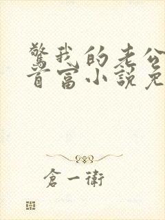 惊我的老公竟是首富小说免费阅读