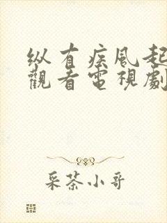 纵有疾风起免费观看电视剧