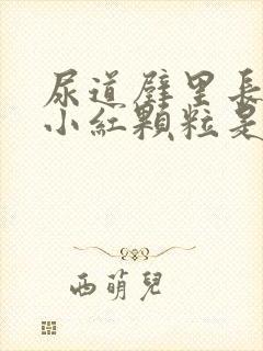 尿道壁里长起点小红颗粒是这么回事