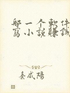 哪一个软件可以写小说赚钱