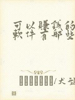 可以赚钱的小说软件有哪些