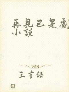 再见已是剧中人小说