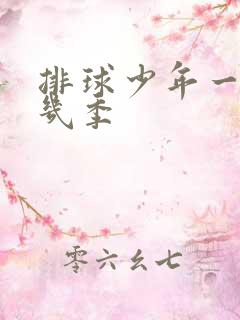 排球少年一共有几季