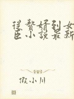 从赘婿到女帝宠臣小说最新章节阅读全文