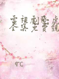 电视剧飞虎神鹰全集免费观看