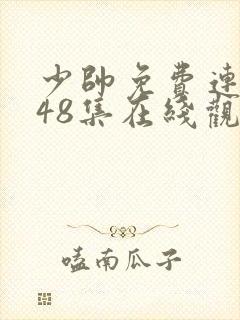 少帅免费连续剧48集在线观看高清