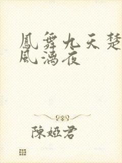 凤舞九天楚倾歌风漓夜