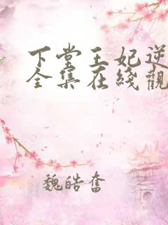 下堂王妃逆袭记全集在线观看