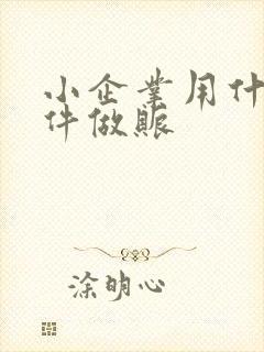 小企业用什么软件做账