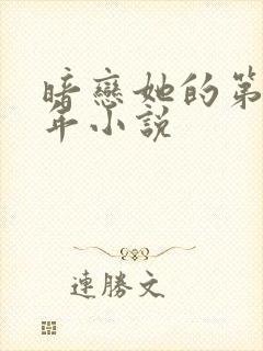 暗恋她的第十一年小说