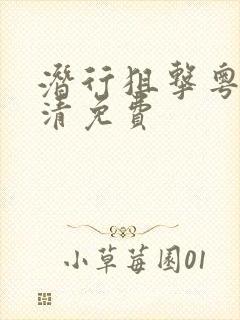 潜行狙击粤语高清免费