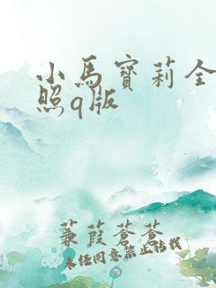 小马宝莉全体合照q版