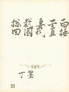 总裁妻子白月光回国我直接消失