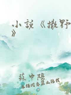 小说《撒野巫哲》