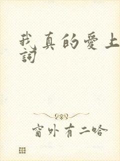 我真的爱上你歌词