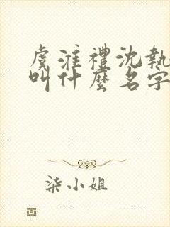 虞淮礼沈执小说叫什么名字