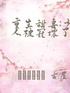 重生甜妻:少夫人被宠坏了小说