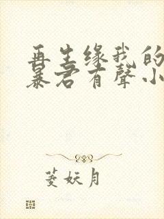 再生缘我的温柔暴君有声小说