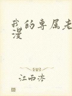 我的专属老师韩漫