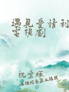 遇见爱情利先生电视剧