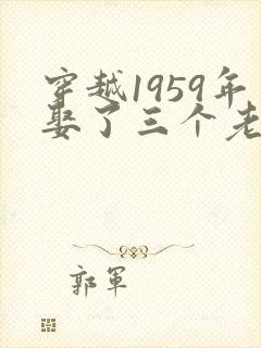 穿越1959年娶了三个老婆的小说