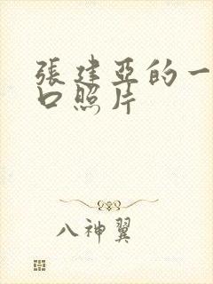 张建亚的一家三口照片