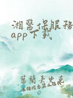 湘医保服务平台app下载