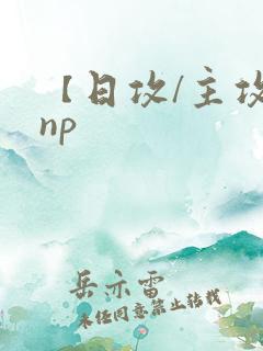 【日攻/主攻】np