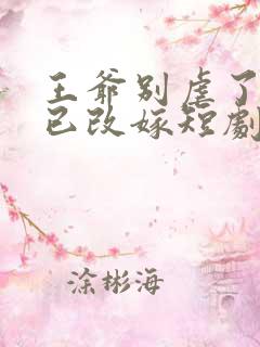 王爷别虐了王妃已改嫁短剧免费观看