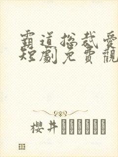 霸道总裁爱上我短剧免费观看