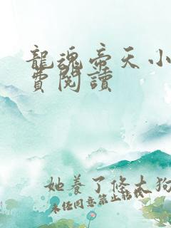 龙魂帝天小说免费阅读