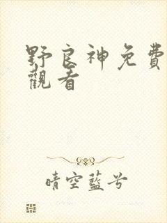 野良神免费在线观看