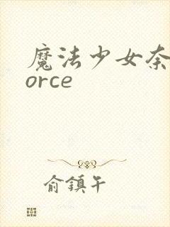 魔法少女奈叶force