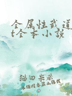 全属性武道txt全本小说