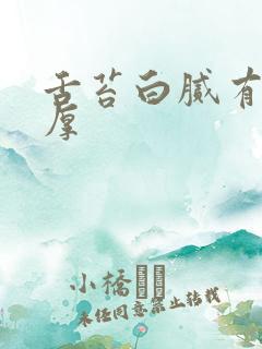 舌苔白腻有齿痕厚