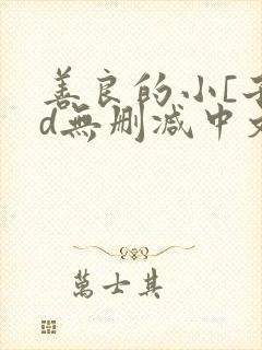 善良的小[子hd无删减中文