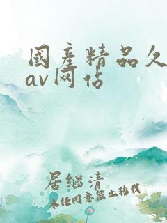 国产精品久久久av网站