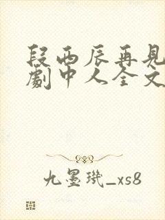 段西辰再见已无剧中人全文阅读小说