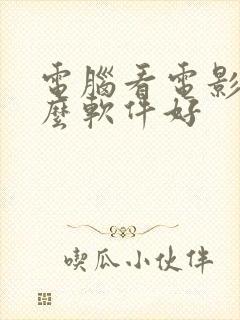 电脑看电影用什么软件好