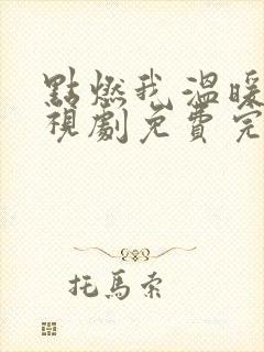 点燃我温暖你电视剧免费完整版16集