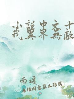 小说中文十级的我异界无敌txt