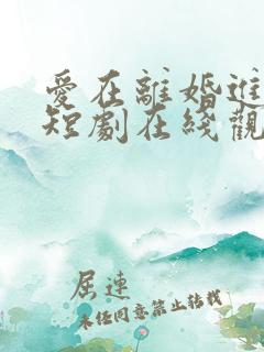 爱在离婚进行时短剧在线观看