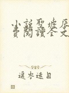 小说圣墟辰东免费阅读全文无窗口