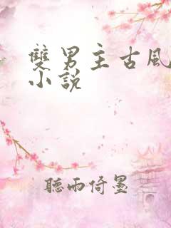 双男主古风权谋小说