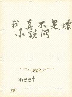 我真不是坏男人 小说网